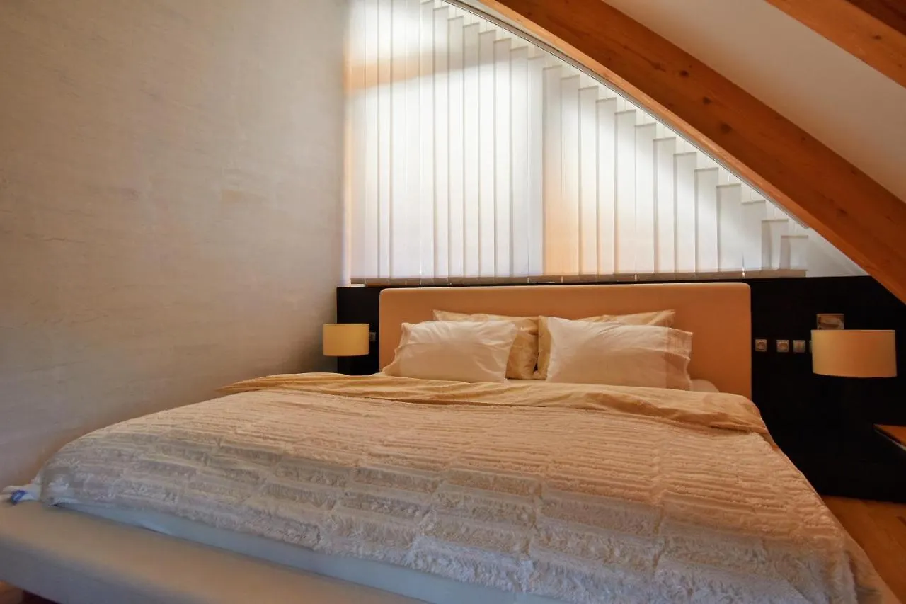 Apartment Okruzni Spindleruv Mlyn
